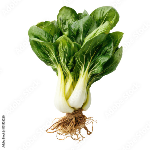 Fresh bok choy plant isolated on transparent png background