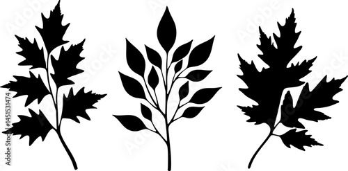 Silhouette Flower collection