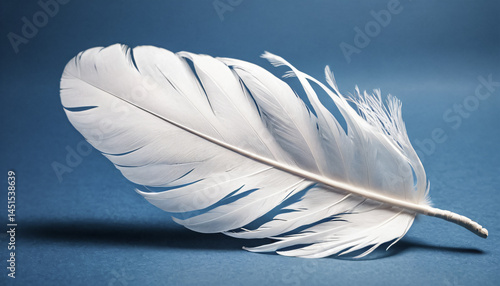 Wallpaper Mural White feather on a blue background. Torontodigital.ca