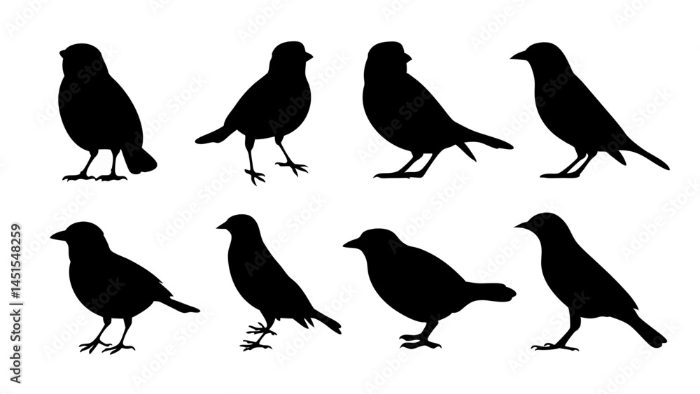 set of black bird silhouette vector on white background set of black bird silhouette vector on white background