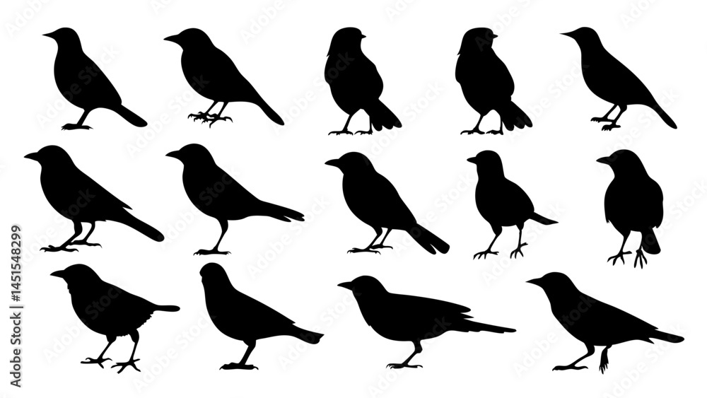 Fototapeta premium set of black bird silhouette vector on white background