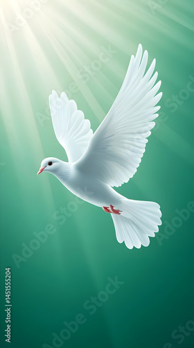 Obraz na płótnie White dove flying, sun rays, peace w salonie