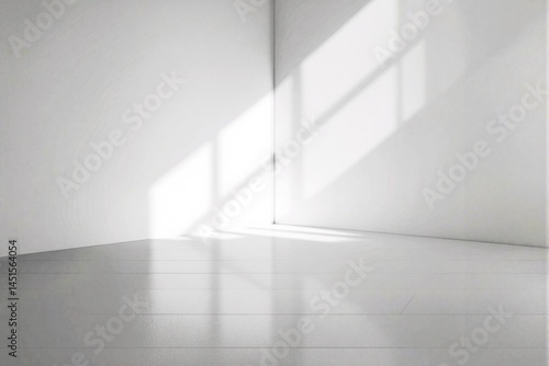 Minimalist white room with sunlight shadows on walls and floor.