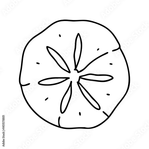 sand dollar icon, sand dollar line art - simple line art of sand dollar, perfect for sand dollar logos and icons