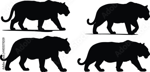Tiger Silhouettes in Various Walking Poses on Transparent Background AI Generative
