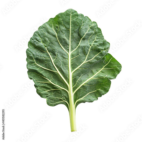Fresh organic green collards leaf on a transparent background ready for healthy meal preparation, Fresh organic green collards leaf transparent background. Collards leave transparent background