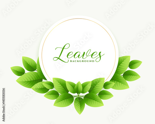 lovely green leaves frame background an eco-friendly choice