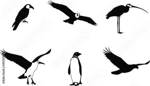 Silhouette illustration of six distinct birds, each showcasing a unique posture and species, including flying and standing positions, emphasizing avian diversity