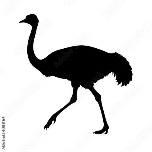 Flat ostrich bird silhouette, simple animal icon in black vector style.