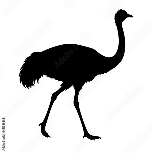ostrich flat black shape, animal outline illustration.