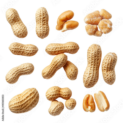 Roasted Peanuts, Shelled Peanuts, InShell Peanuts, Pecans Collection