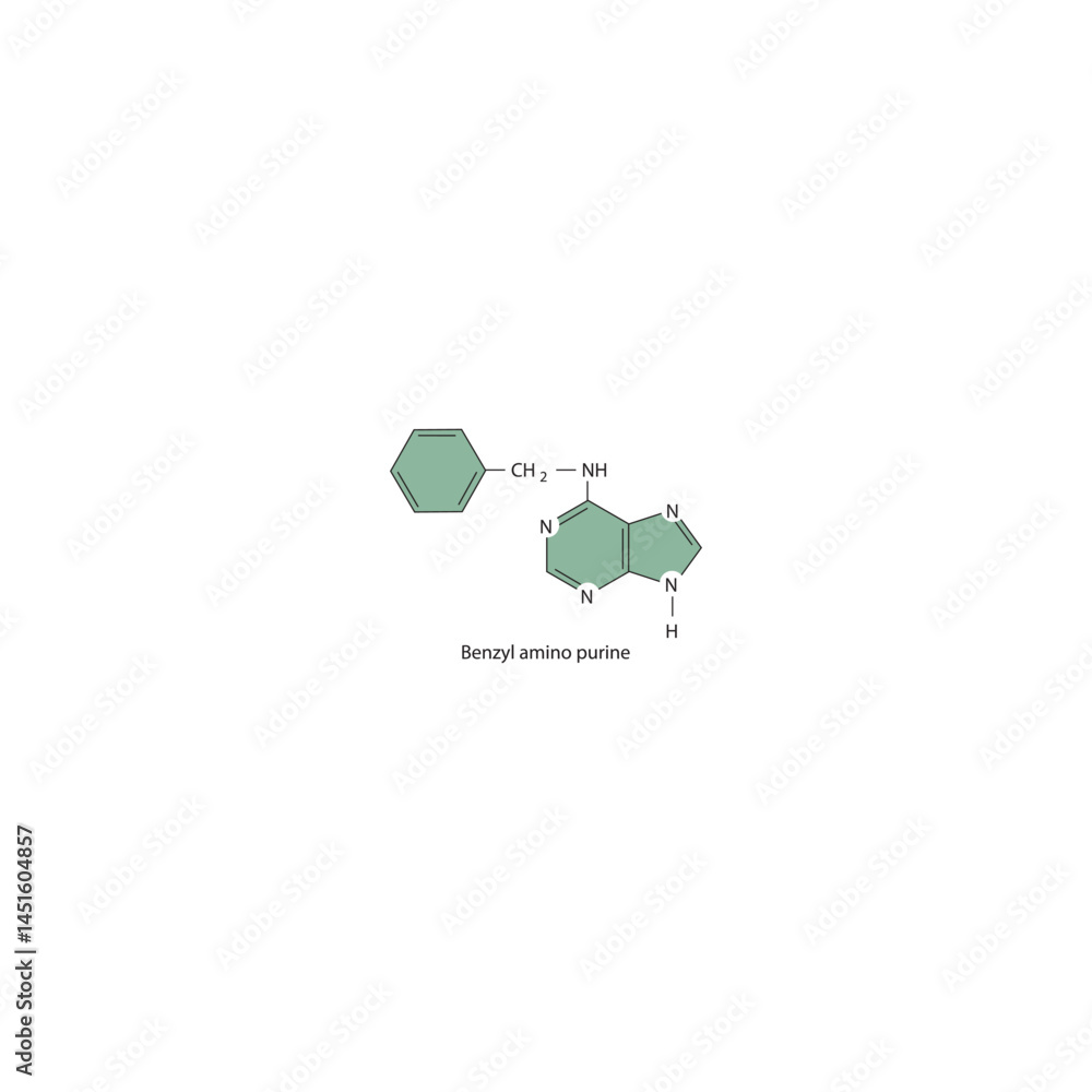 Fototapeta premium Benzylaminopurine molecular structure, cytokinin compound skeletal formula. Simple schematic illustration.