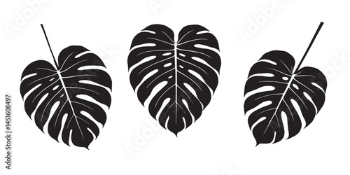 Tropical leaves 