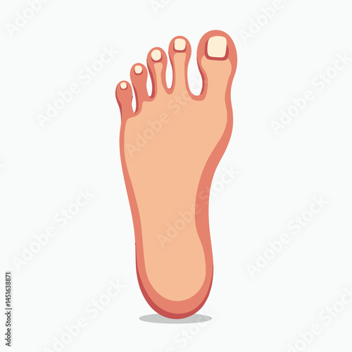 clean pedicure with toenails  foot care illustration
