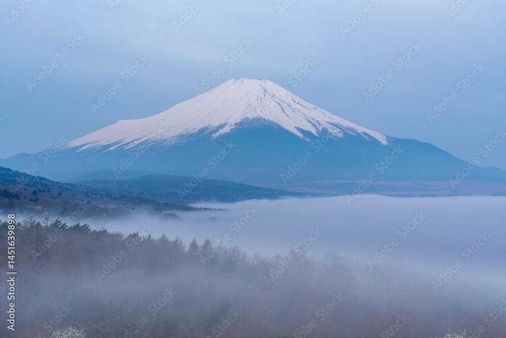 Fototapeta premium 山中湖パノラマ台から雲海に浮かぶ富士山