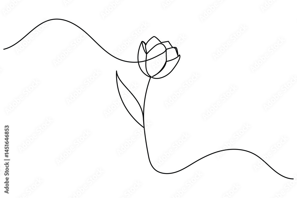 Obraz premium Tulip flower continuous one line drawing and minimalist style isolate outline vector icon