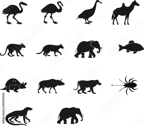 Silhouettes of Various Animals Arranged in Three Rows, Including Birds, Camel, Kangaroo, Cat, Elephant, Fish, Turtle, Wild Boar, Bear, Spider, and Lizard