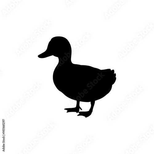 Black Bold duck silhouette vector illustration on white background
