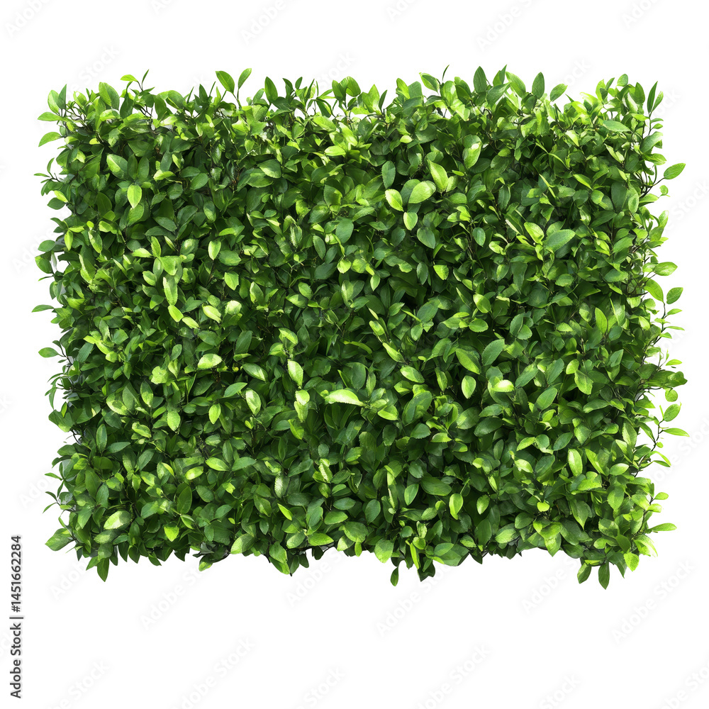 Naklejka premium Lush green trimmed bush hedge providing privacy in a serene outdoor setting, green trimmed bush hedge fencing, file of isolated object with shadow on transparent background