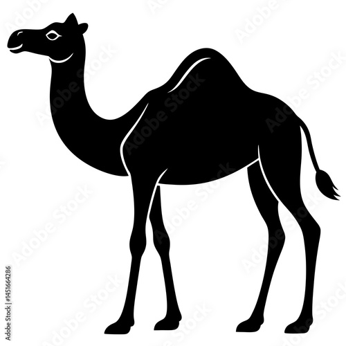 camel cartoon illustration