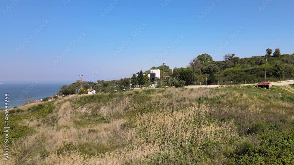 Sweeping drone view: Arid land winding road meet scattered green trees under vast sky. Beauty in resilience Sweeping drone view: Arid land winding road meet scattered green trees under vast sky. Beauty in resilience
