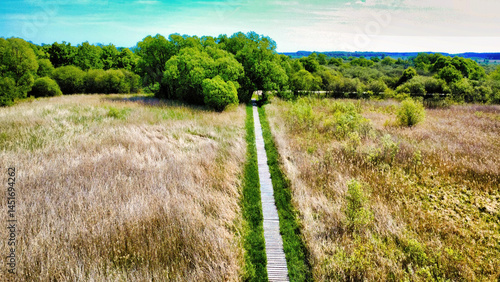 path in the field