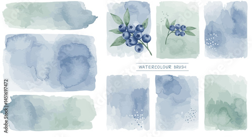 Watercolor Blueberry & Abstract Brush Stroke Collection