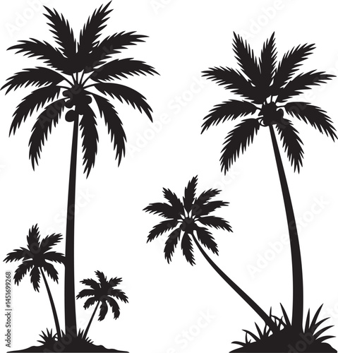 Black Palm Tree Silhouettes Clipart – Tall, Coconut, Leaning & Tropical Tree Vector Set

