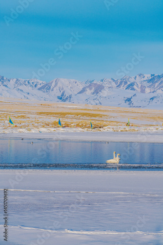 Tianshan Mountains, Lake Sayram, and Swans in Winter in Xinjiang, China on March 11, 2024