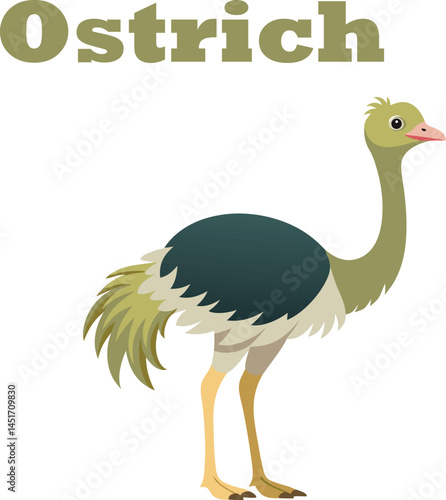 Adobe Illustrator Artwork