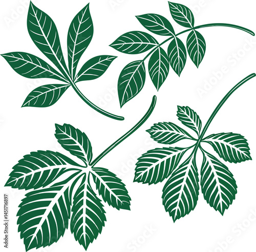 set of green leaves