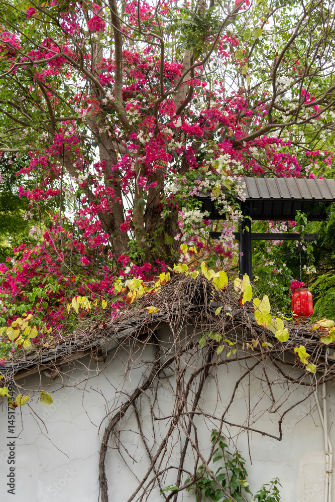 Scenic view of Gankeng Ancient Town in Shenzhen, China.