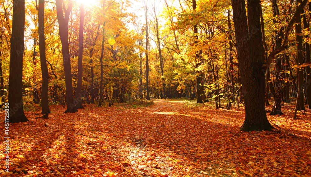 Obraz premium Autumn walk enchanted forest nature scene golden leaves serene environment warm sunlight