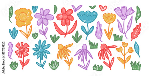 Flowers crayon set. Naive floral doodle isolated on white background. Daisy, poppy, grass, leaves sketch elements. Vector childish style illustration by pencil.