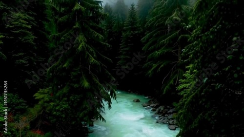 Mountain river flowing inside mysterious forest