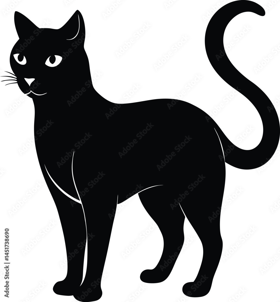 Obraz premium Black and white cat.