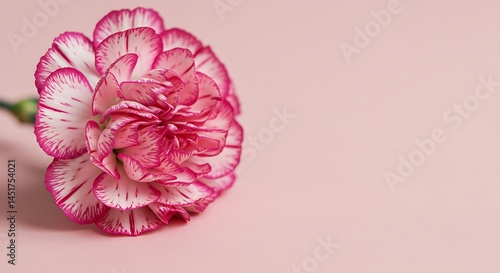 Obraz na płótnie Pink Grace: A Mother's Day View from the Heart