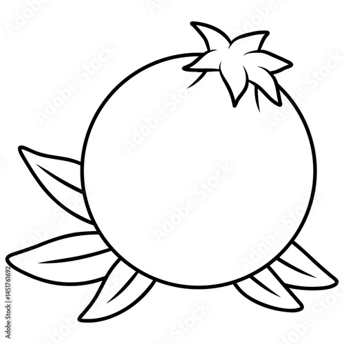 pomegranate fruit vector icon