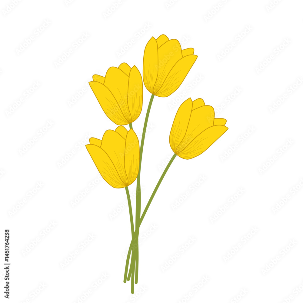 Naklejka premium Yellow tulip flower illustration. Blooming flower illustration. Flower illustration set. Tulip flower flat design