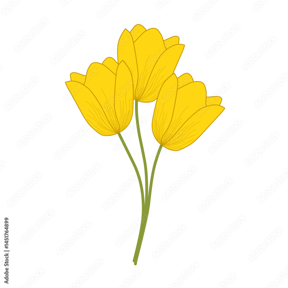 Naklejka premium Yellow tulip flower illustration. Blooming flower illustration. Flower illustration set. Tulip flower flat design