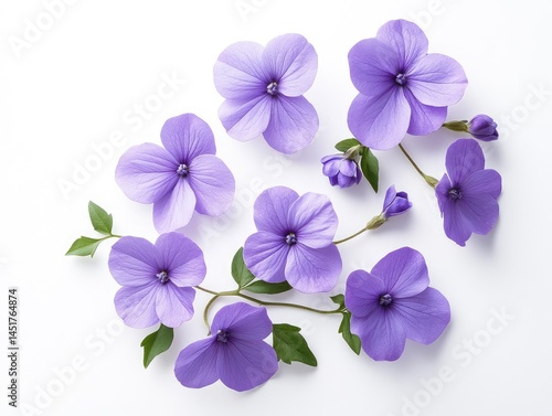 Charming floral display featuring purple flowers and verdant leaves against bright backdrop evokes feelings of serenity and gentle beauty
