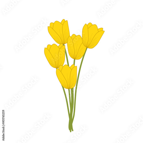 Yellow tulip flower illustration. Blooming flower illustration. Flower illustration set. Tulip flower flat design 
