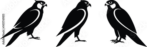 Falcon Silhouettes Editable Vector isolated on transparent background. Black falcon vector set png.