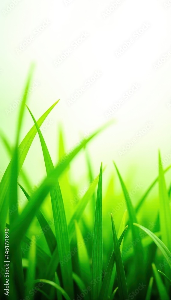 Fototapeta premium Vibrant green grass blades, lush texture, white backdrop, stem, organic, spring