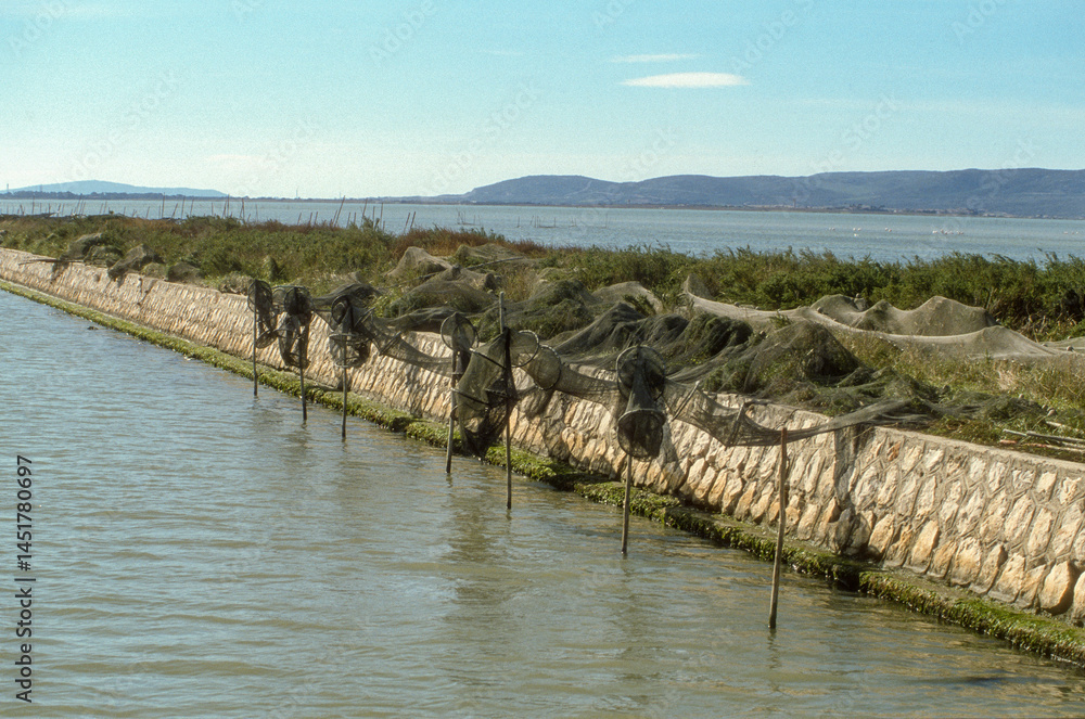 Fototapeta premium Filets de pêche, Etang de Vic, lagune, espace naturel protégé, 34, Hérault, France