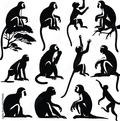silhouette monkeys vector