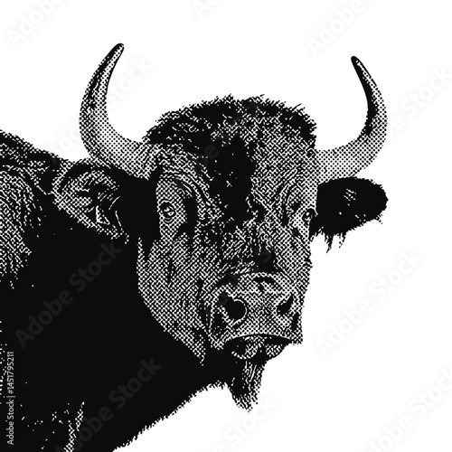 wild west buffalo. western vintage halftone grunge vector design element.