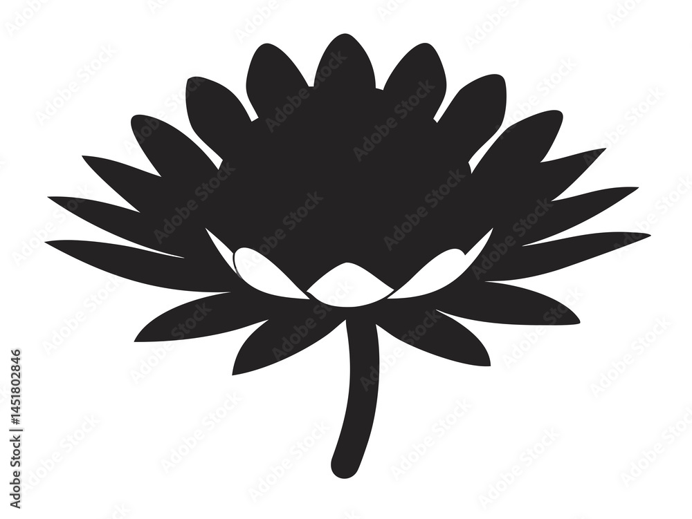 Fototapeta premium Strawflower Head Illustration, Vibrant Floral Art, Colorful Flower Bloom, Summer Flowering Plant