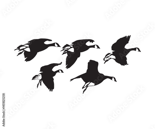 Group of Flying Hoonkers Silhouette Vector Art