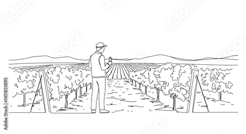 Vineyard worker examining grapes in expansive fields  